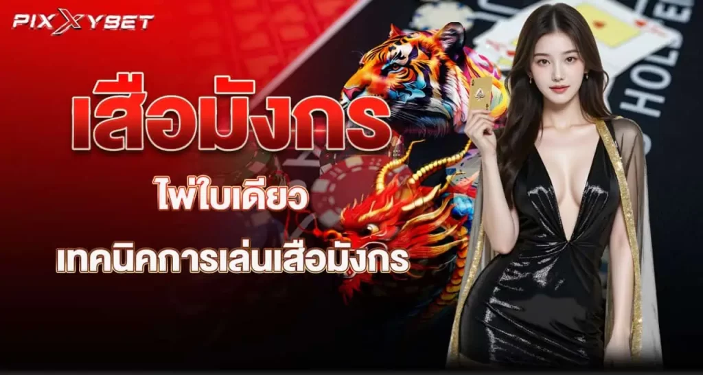 เสือมังกร ไพ่ใบเดียว เทคนิคการเล่นเสือมังกร PIXXYBET